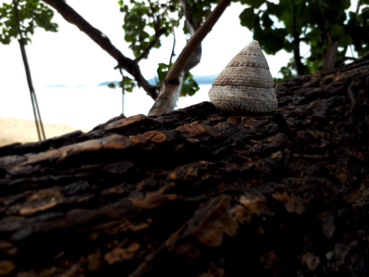 Klong Kloi Cottage Ban Bang Bao  Dış mekan fotoğraf